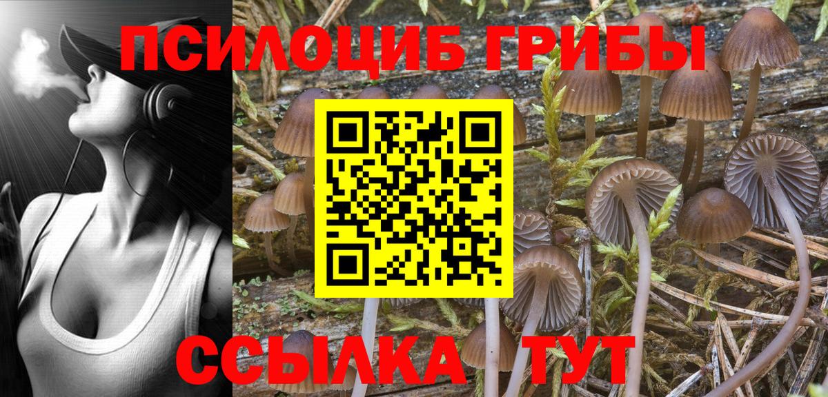 Псилоцибиновые грибы прущие грибы Клинцы