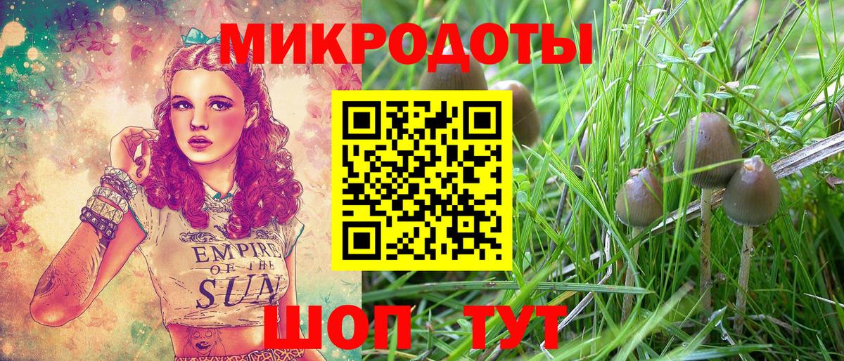 Псилоцибиновые грибы мухоморы  Вход с VPN  Псилоцибиновые грибы Magic Shrooms  Клинцы 